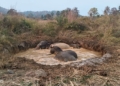 Deogarh elephant rescue Odisha