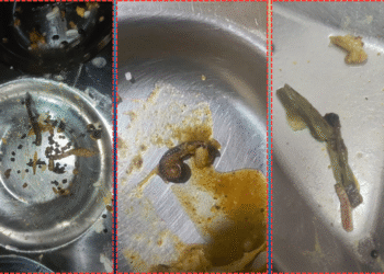 Worms in Hostel Food Trigger Student Outrage at BJB Junior College in Bhubaneswar