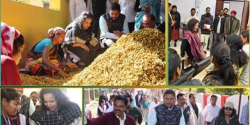 Anu Garg Kandhamal visit