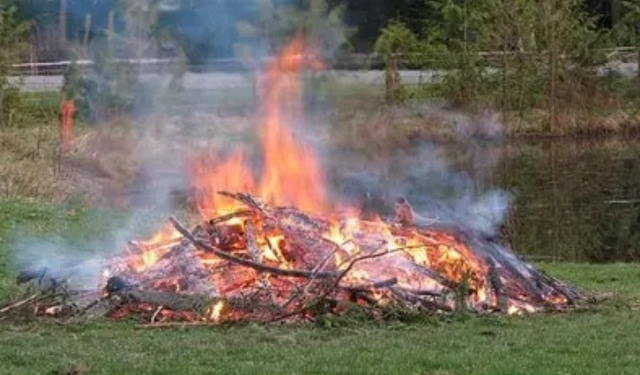 Bhubaneswar pollution control