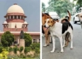 Supreme Court Dog Bite Compensation