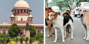 Supreme Court Dog Bite Compensation