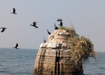 Bird census at Hirakud reservoir