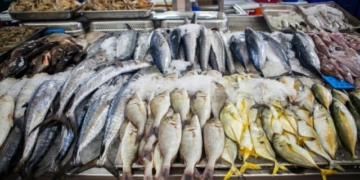 Koraput Republic Day non-veg ban