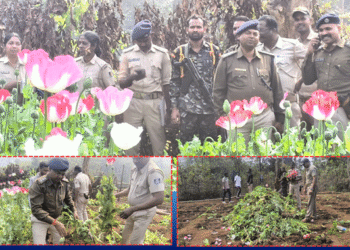 illegal opium cultivation Keonjhar