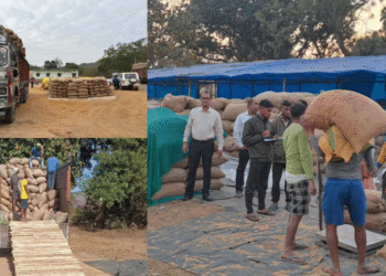 Odisha Paddy Procurement