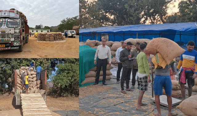 Odisha Paddy Procurement