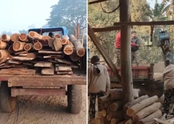 Puri Forest Department Raid