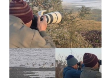 Rourkela bird census
