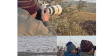 Rourkela bird census