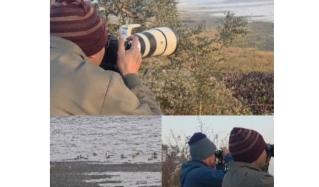 Rourkela bird census