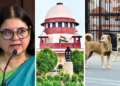Supreme Court stray dogs case