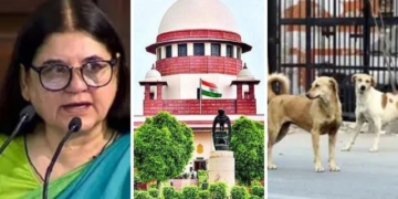 Supreme Court stray dogs case