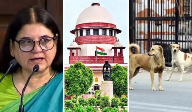 Supreme Court stray dogs case