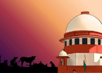 Supreme Court stray dog case