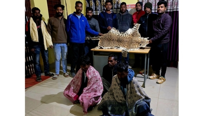 Leopard Skin Seized