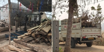 Odisha Vigilance timber seizure