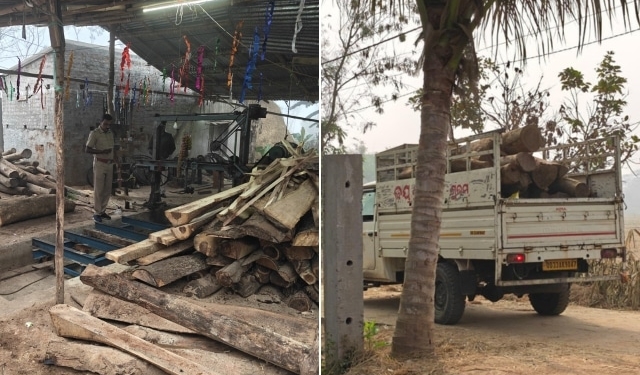 Odisha Vigilance timber seizure