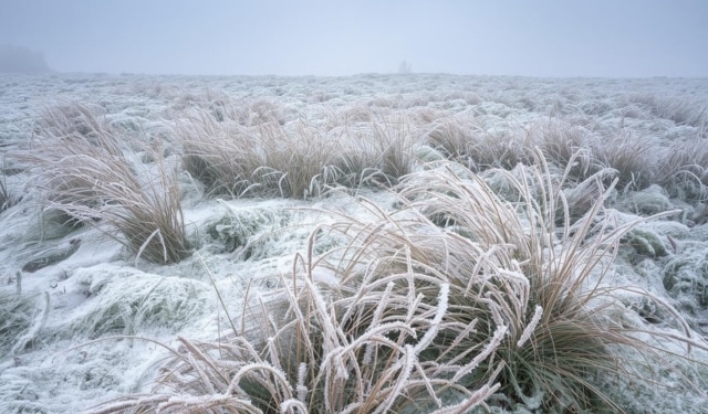 Odisha cold wave records