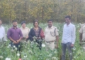 Opium destruction deogarh odisha