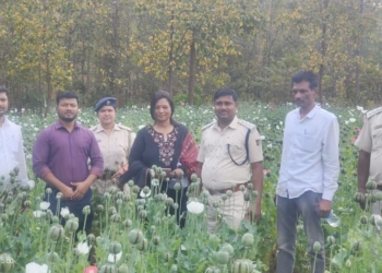 Opium destruction deogarh odisha