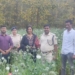 Opium destruction deogarh odisha