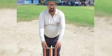 Bee Swarm Attack in Cricket Match