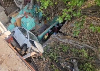 Car Plunges Off Flyover