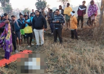 Sambalpur elephant attack