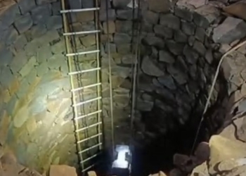 Elephant calf death Keonjhar