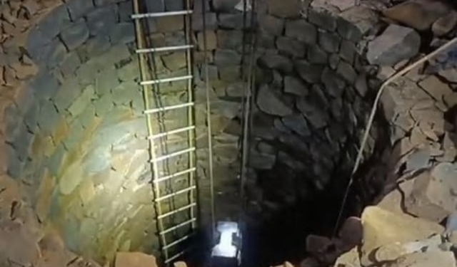 Elephant calf death Keonjhar