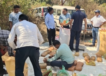 Ganja Seizure in Harbhanga