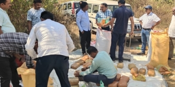 Ganja Seizure in Harbhanga