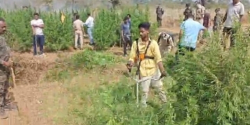 Operation Green Clean