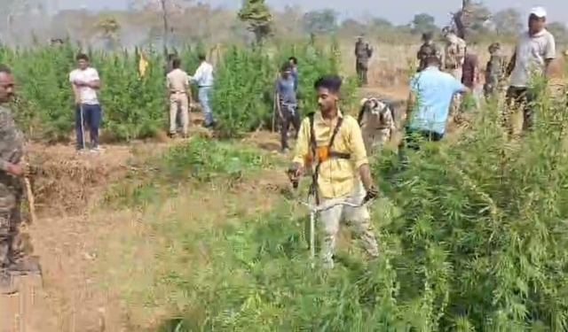 Operation Green Clean