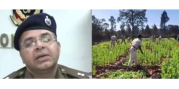 Illegal Opium Cultivation