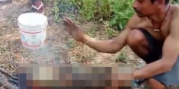 Viral Wild Boar Killing Video