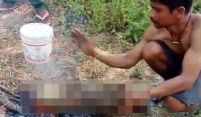 Viral Wild Boar Killing Video