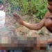 Viral Wild Boar Killing Video