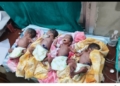 Woman Gives Birth to Quadruplets