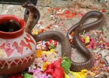 Danda Yatra snake ban