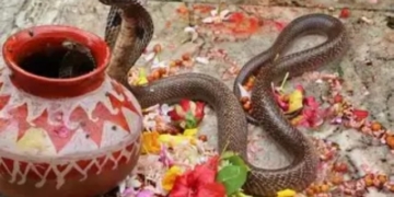 Danda Yatra snake ban