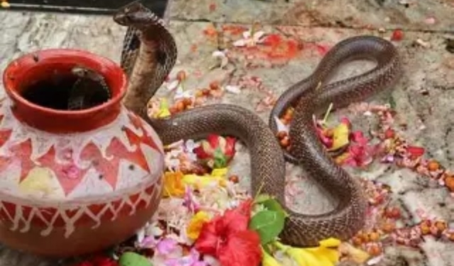 Danda Yatra snake ban