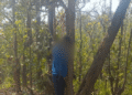 Missing Odisha Teacher’s Body Found Hanging in Chhattisgarh Forest
