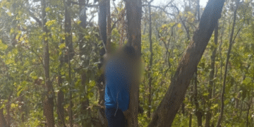 Missing Odisha Teacher’s Body Found Hanging in Chhattisgarh Forest
