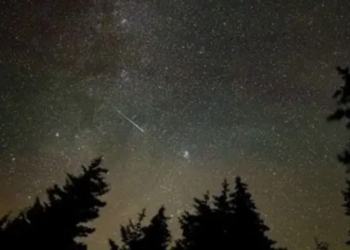 Odisha weather forecast IMD