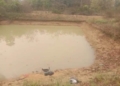 Two Minor Girls Drown in Pond