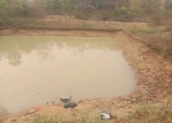 Two Minor Girls Drown in Pond