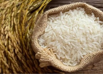 Basmati rice
