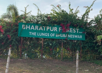 Bharatpur forest fire Bhubaneswar